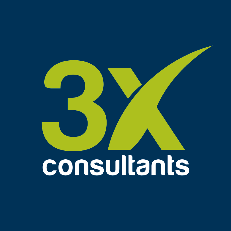 3x consultants